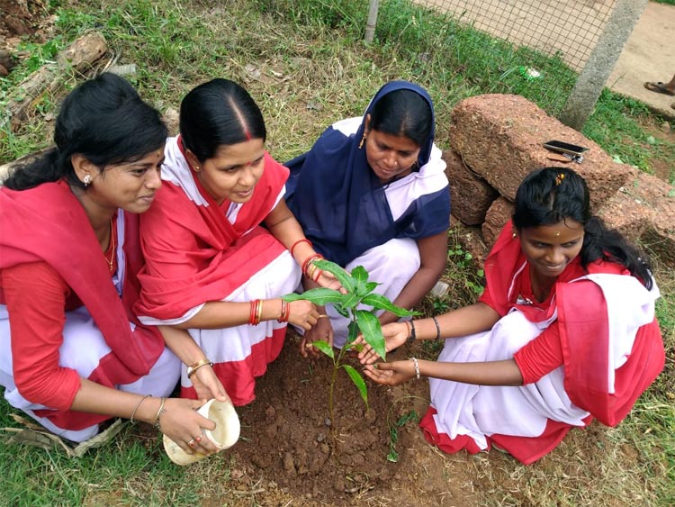 Education Support